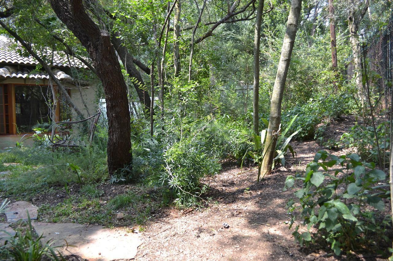 Lydall Wild Tranquil Garden Suites Johannesburg Eksteriør billede